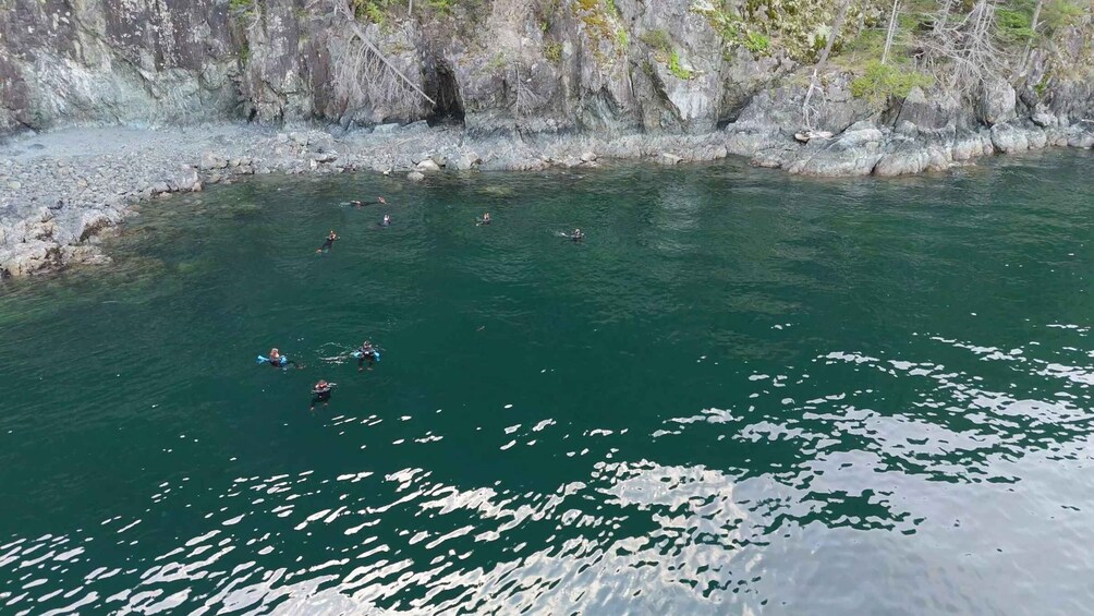 Picture 13 for Activity Vancouver UNESCO Biosphere Seals Snorkel Kayak Boat Tour 2