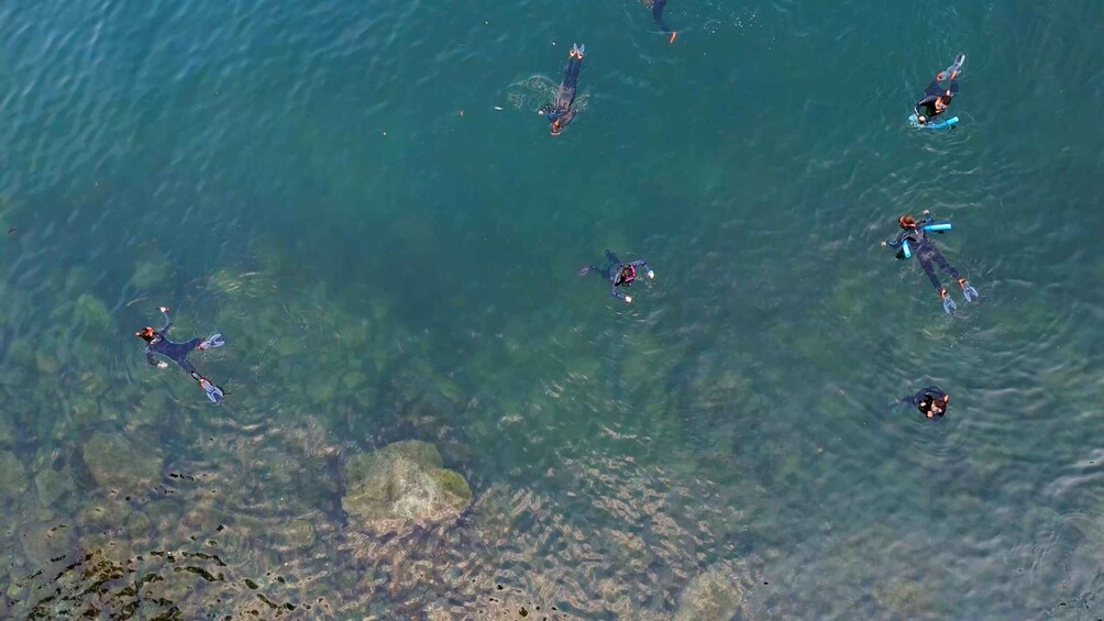 Picture 11 for Activity Vancouver UNESCO Biosphere Seals Snorkel Kayak Boat Tour 4