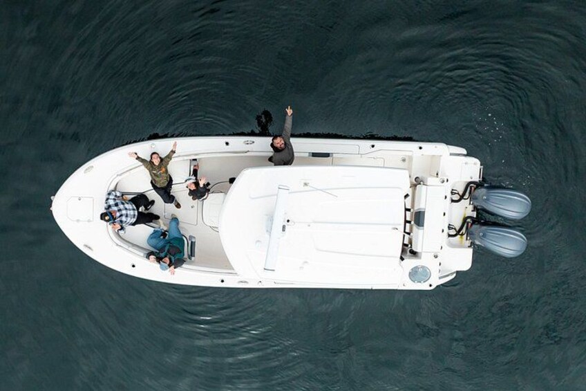 Private Whale Watching trip 2