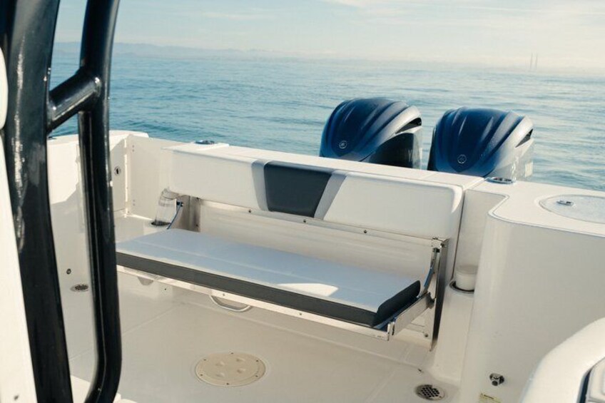 Private Whale Watching trip 5