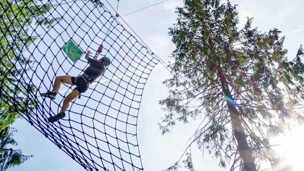 Voss High Rope & Zipline Park 1