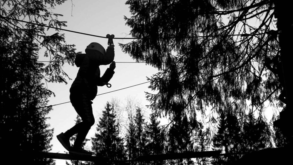 Picture 3 for Activity Voss High Rope & Zipline Park 4