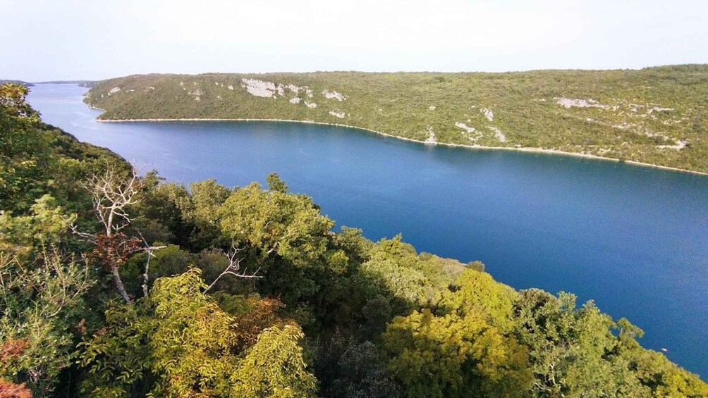 Picture 3 for Activity From Rovinj: Lim Bay Kayak Tour with Guide 2