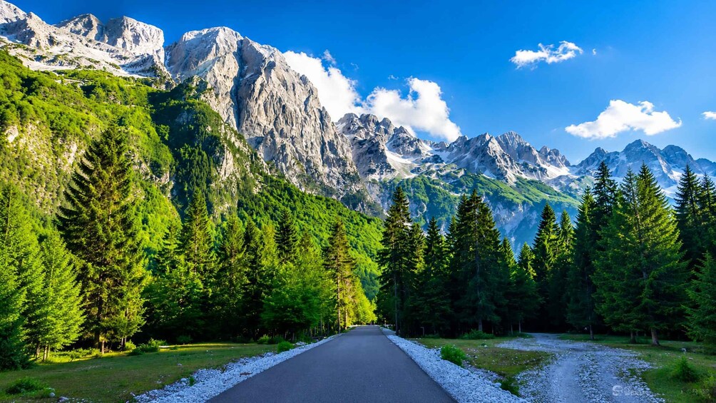 A road flanked by dense green forests and rugged mountains under a clear blue sky. 5
