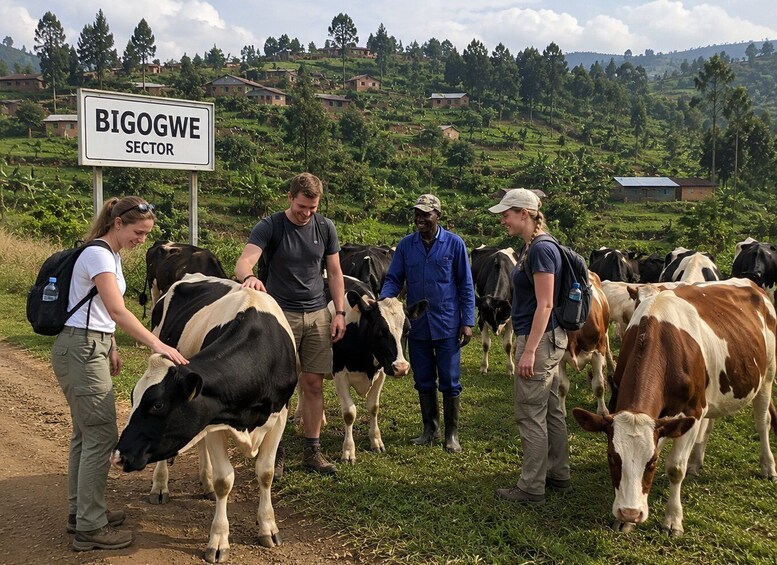 From Kigali: Bigogwe Cow Culture Tour & Scenic Drive 4