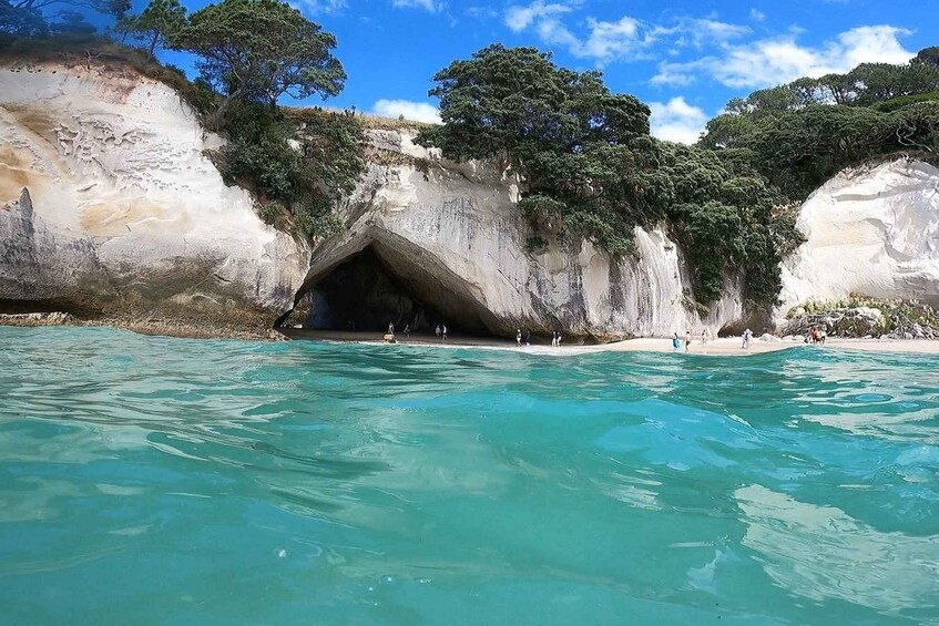 Picture 5 for Activity Cathedral Cove & Hot Water Beach with Lunch from Auckland 5