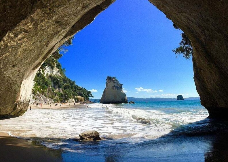 Picture 1 for Activity Cathedral Cove & Hot Water Beach with Lunch from Auckland 3