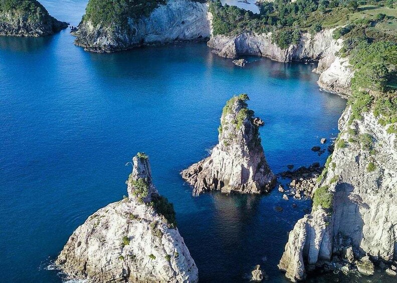 Picture 3 for Activity Cathedral Cove & Hot Water Beach with Lunch from Auckland 4