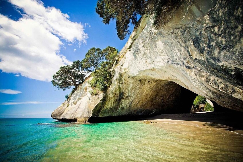 Cathedral Cove & Hot Water Beach with Lunch from Auckland 1