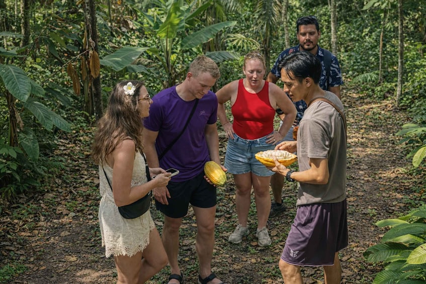 Lombok: Vanilla, Cocoa & Bees Educational Farm Walk 3