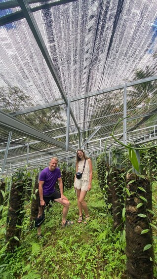 Picture 5 for Activity Lombok: Vanilla, Cocoa & Bees Educational Farm Walk 2