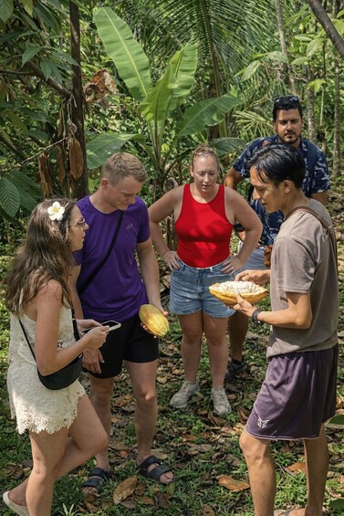 Picture 1 for Activity Lombok: Vanilla, Cocoa & Bees Educational Farm Walk 3