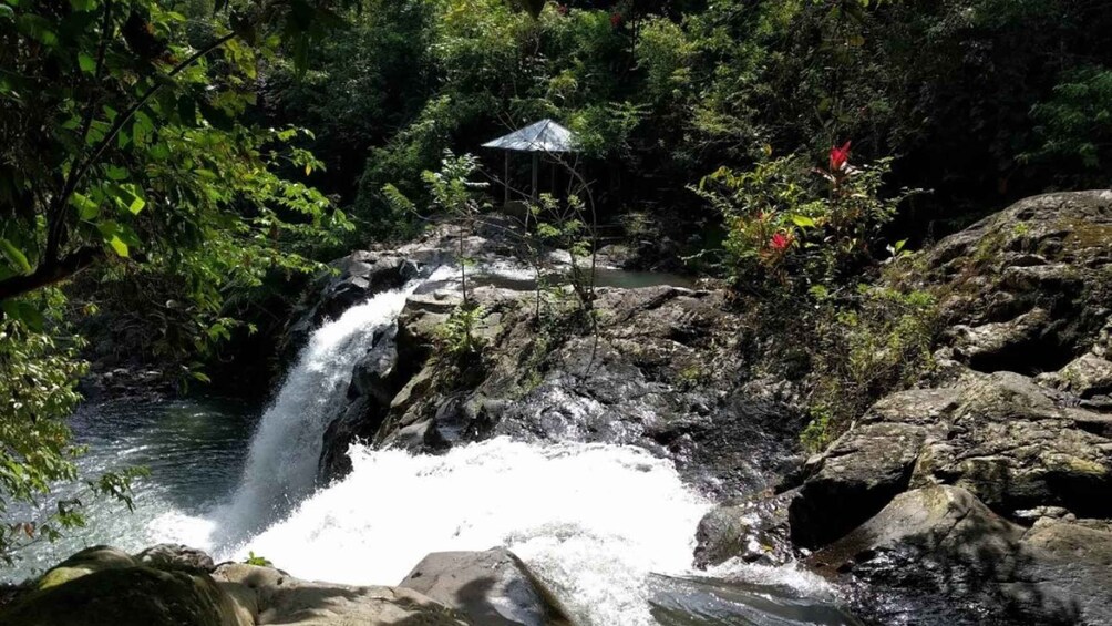Picture 8 for Activity Bali: Customised North Bali Tour With Private Car and Driver 4
