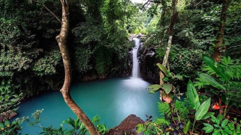 Bali: Customised North Bali Tour With Private Car and Driver 1