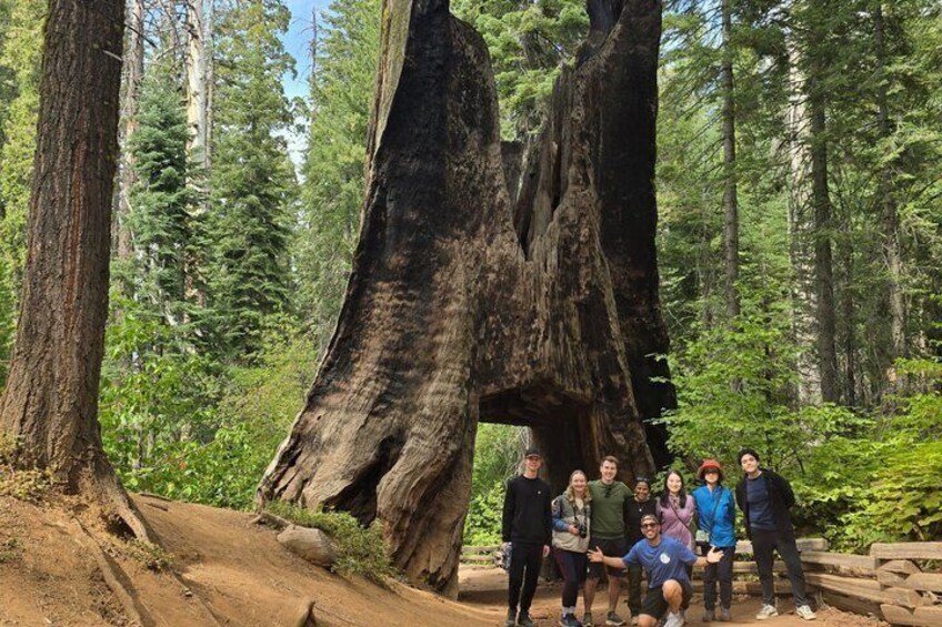 Yosemite 3 Day Tour from Los Angeles and Orange County 2