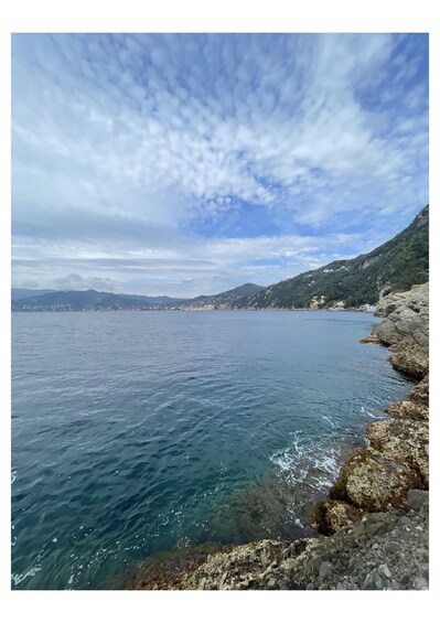 Picture 4 for Activity Tour of Genoa and the Ligurian Riviera: From Genoa to Portofino 2