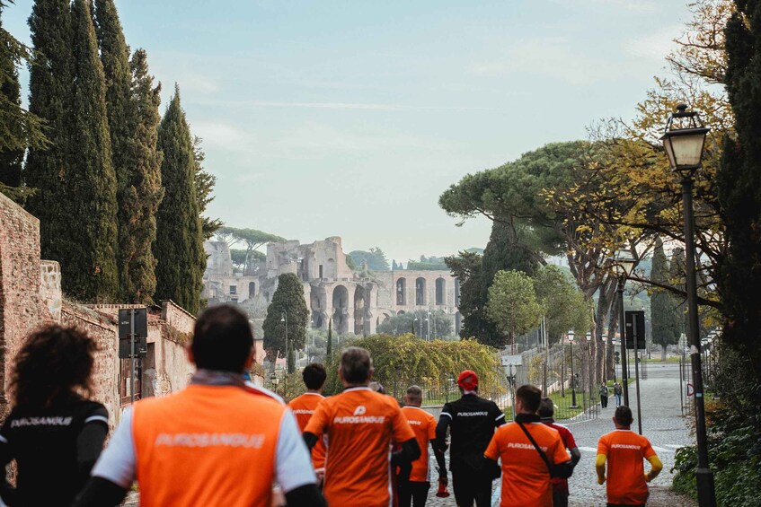 A group of people in orange vests walking along a cobblestone path with historic buildings and trees in the background. 4