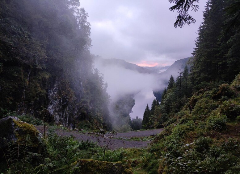 A misty valley with dense forest and a lake. 1