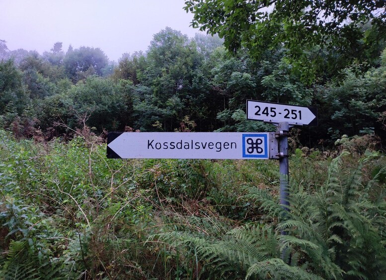 A directional sign for Kossdalsvegen with route numbers 245-251. 3