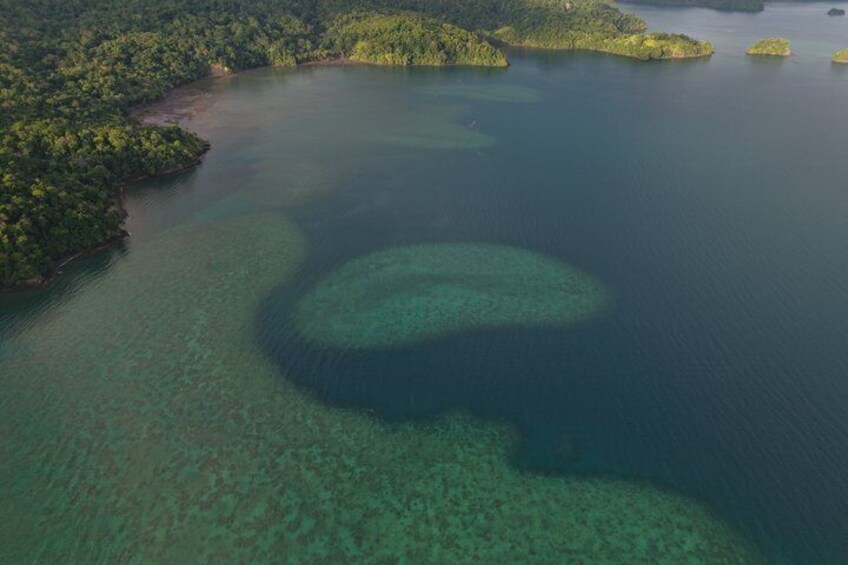 Osa Peninsula Jungle to Ocean Overnight Expedition From Uvita 4