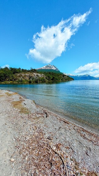 Picture 3 for Activity From Ushuaia: Private tour of Tierra del Fuego National Park. Optional train 5