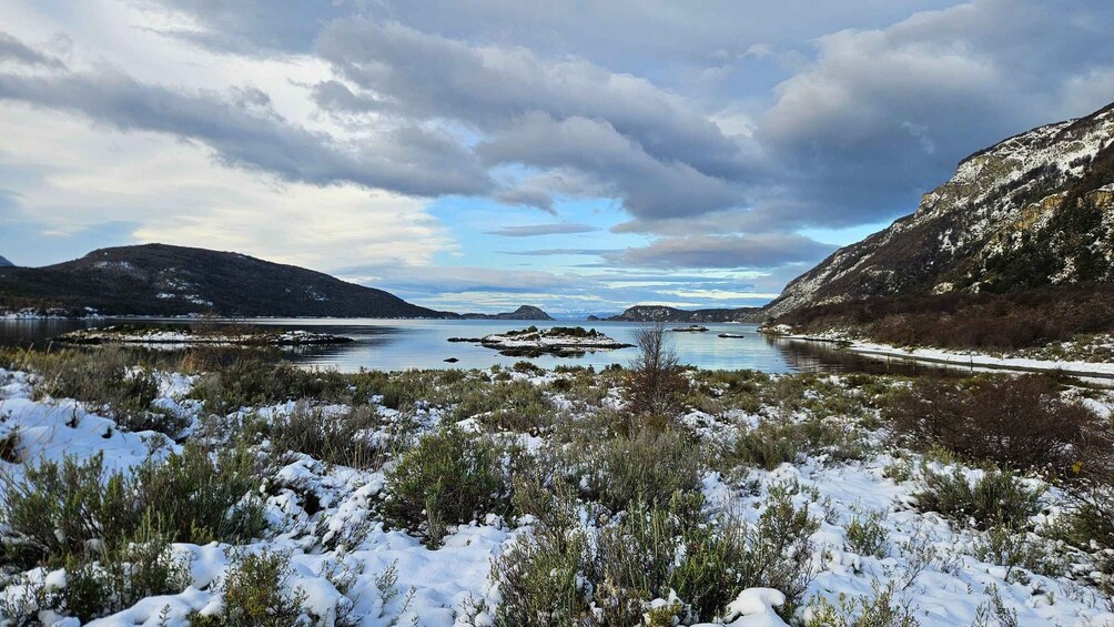 From Ushuaia: Private tour of Tierra del Fuego National Park. Optional train 2
