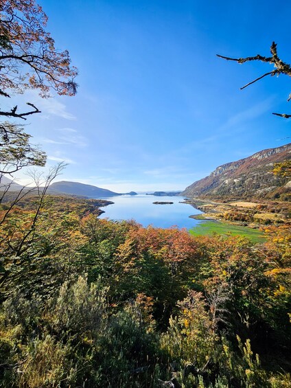 Picture 5 for Activity From Ushuaia: Private tour of Tierra del Fuego National Park. Optional train 3