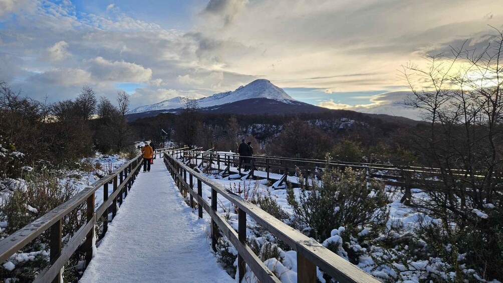 Picture 1 for Activity From Ushuaia: Private tour of Tierra del Fuego National Park. Optional train 1