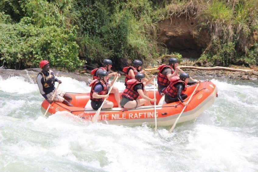Diverse Whitewater Rafting Adventures for All 2