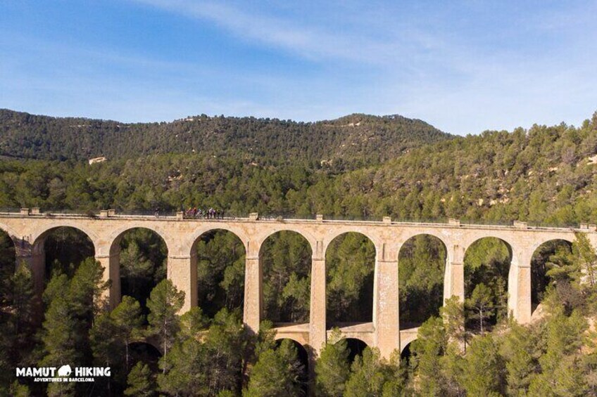 Via Verde Bike Tour to the Ebro Delta 3