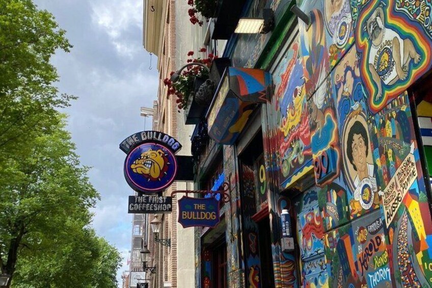 A building with colorful graffiti art and a sign for 'The Bulldog' coffee shop. 1