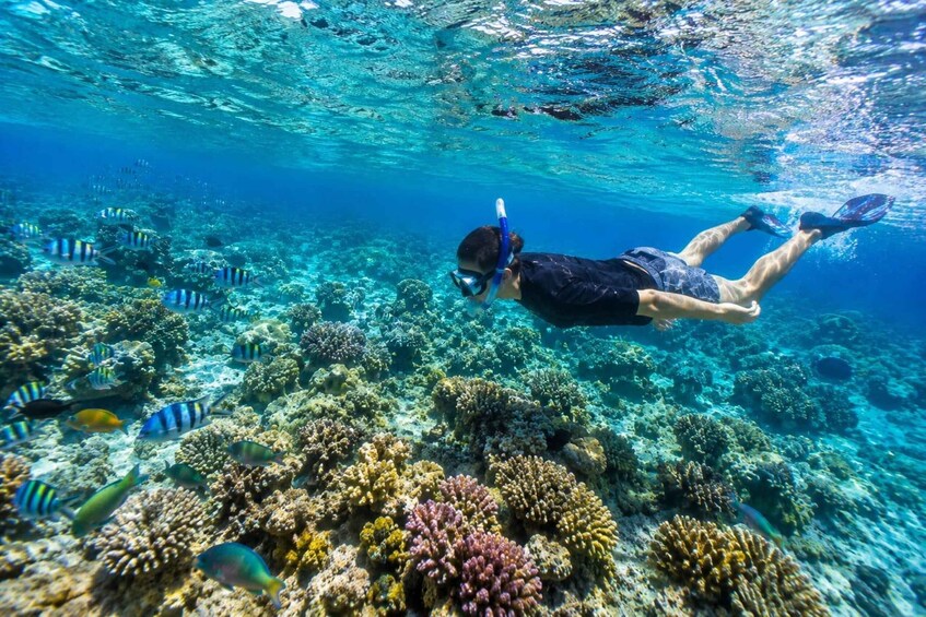 Pink Beach & Three Gilis Senorkling Adventure 3