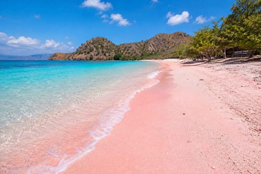 Picture 3 for Activity Pink Beach & Three Gilis Senorkling Adventure 1