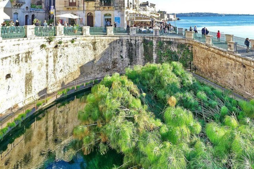 Ortigia Self Guided Walking Tour Ancient Power and Audio and Quiz 3