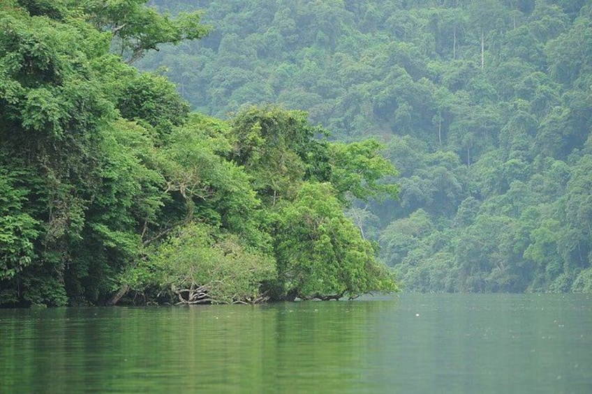 A river with dense green foliage on the banks. 2