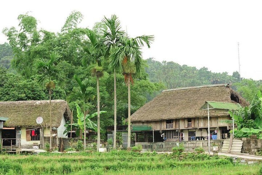 A rural village with thatched-roof houses, palm trees, and a lush green landscape. 1