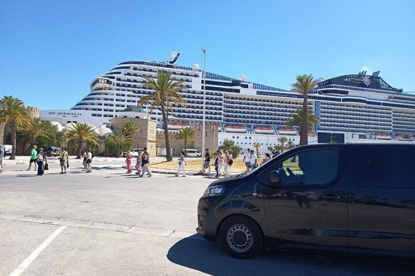 A cruise ship docked at a port with palm trees and a van in the foreground. 3