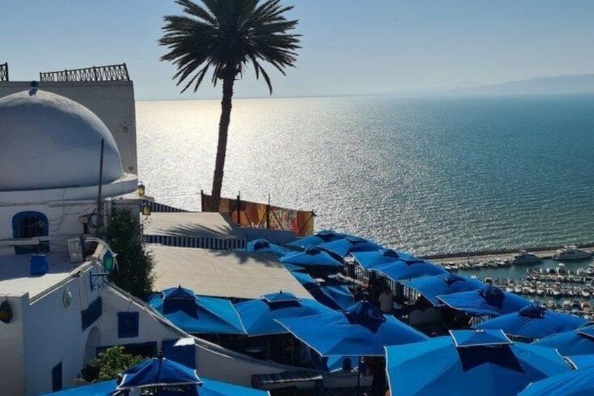 A coastal view with a white building, blue umbrellas, and a palm tree. 4
