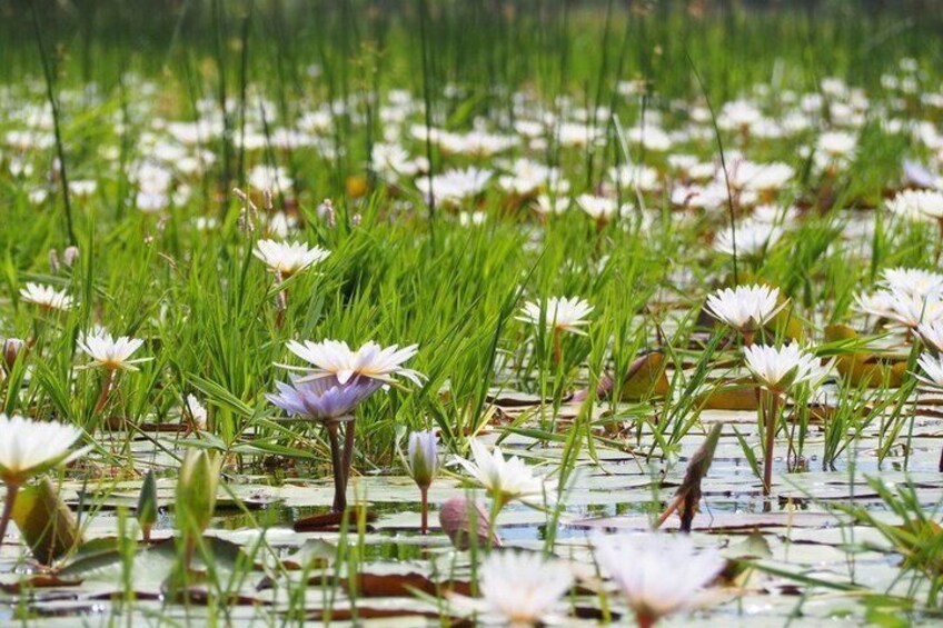 Guided Mokoro Tours in the Maun Educational Park 3