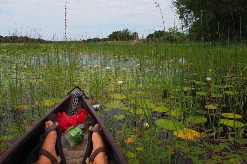 Guided Mokoro Tours in the Maun Educational Park 1