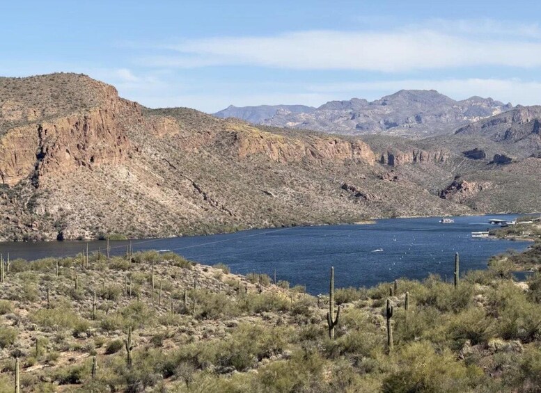 A desert landscape with a large body of water, mountains in the background, and sparse vegetation. 4