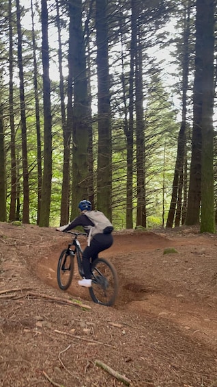 A person riding a mountain bike on a dirt trail in a forest. 5