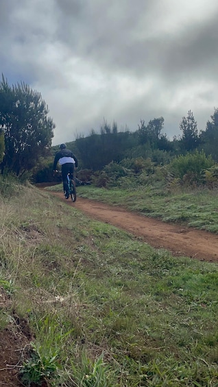 A person riding a bicycle on a dirt path through a grassy area with trees in the background. 3