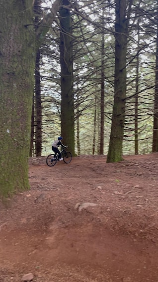 A person riding a mountain bike on a dirt trail in a forest. 4