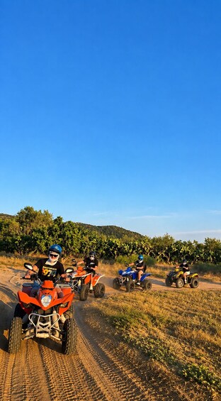 Four people riding ATVs on a dirt path with a clear blue sky and green vegetation in the background. 3
