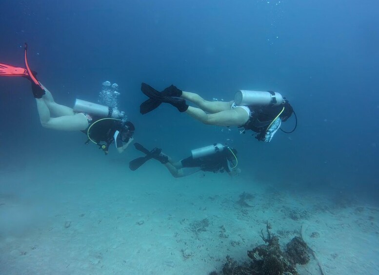 Picture 5 for Activity Pulau Weh Diving Tour 5