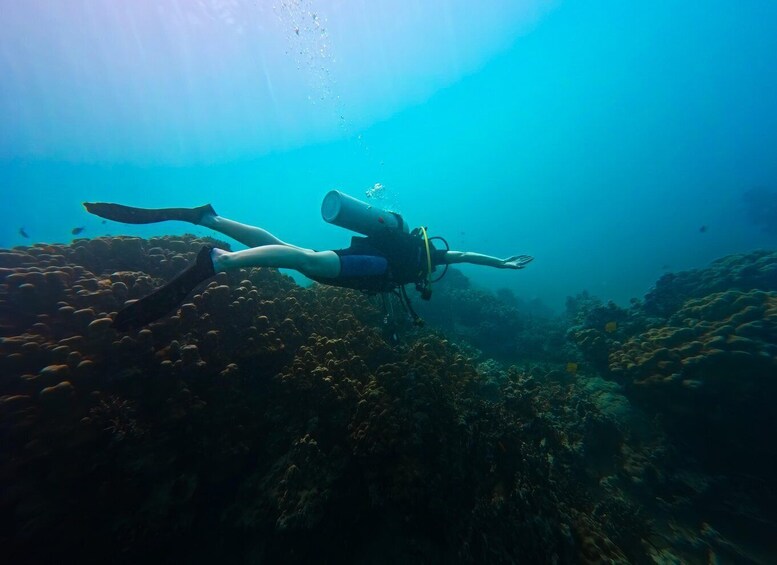 Picture 2 for Activity Pulau Weh Diving Tour 4