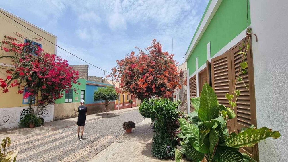 Picture 3 for Activity Boa Vista: Hike to Odjo d'Mar, colorful villages & lunch 5