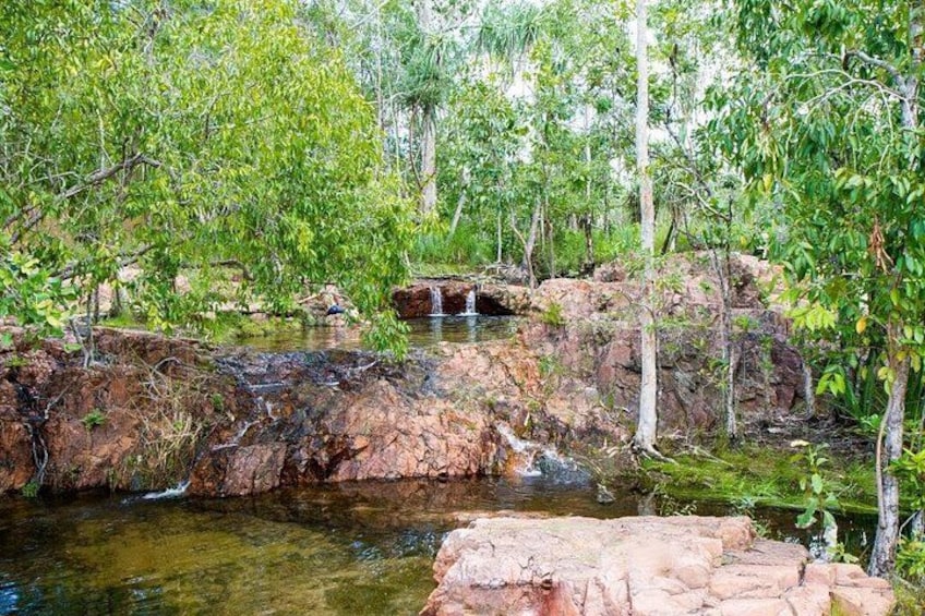 A natural landscape with a small waterfall, rocky terrain, and dense greenery. 5
