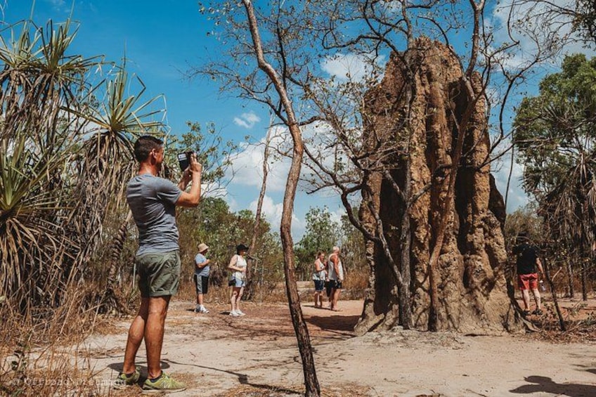 A person taking a photo of a large tree with a rough bark texture. 3
